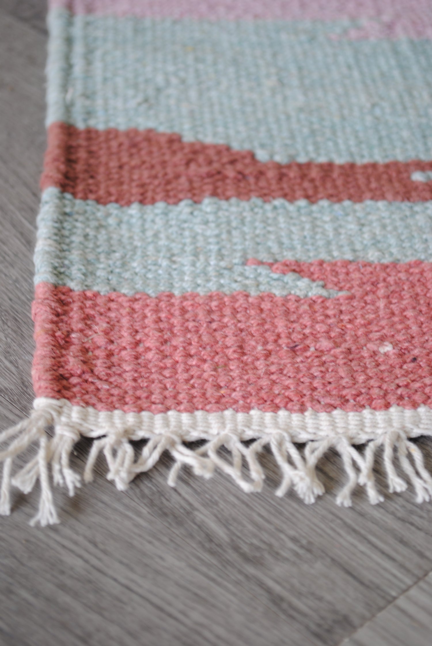 Parodia Handwoven Cotton Rug
