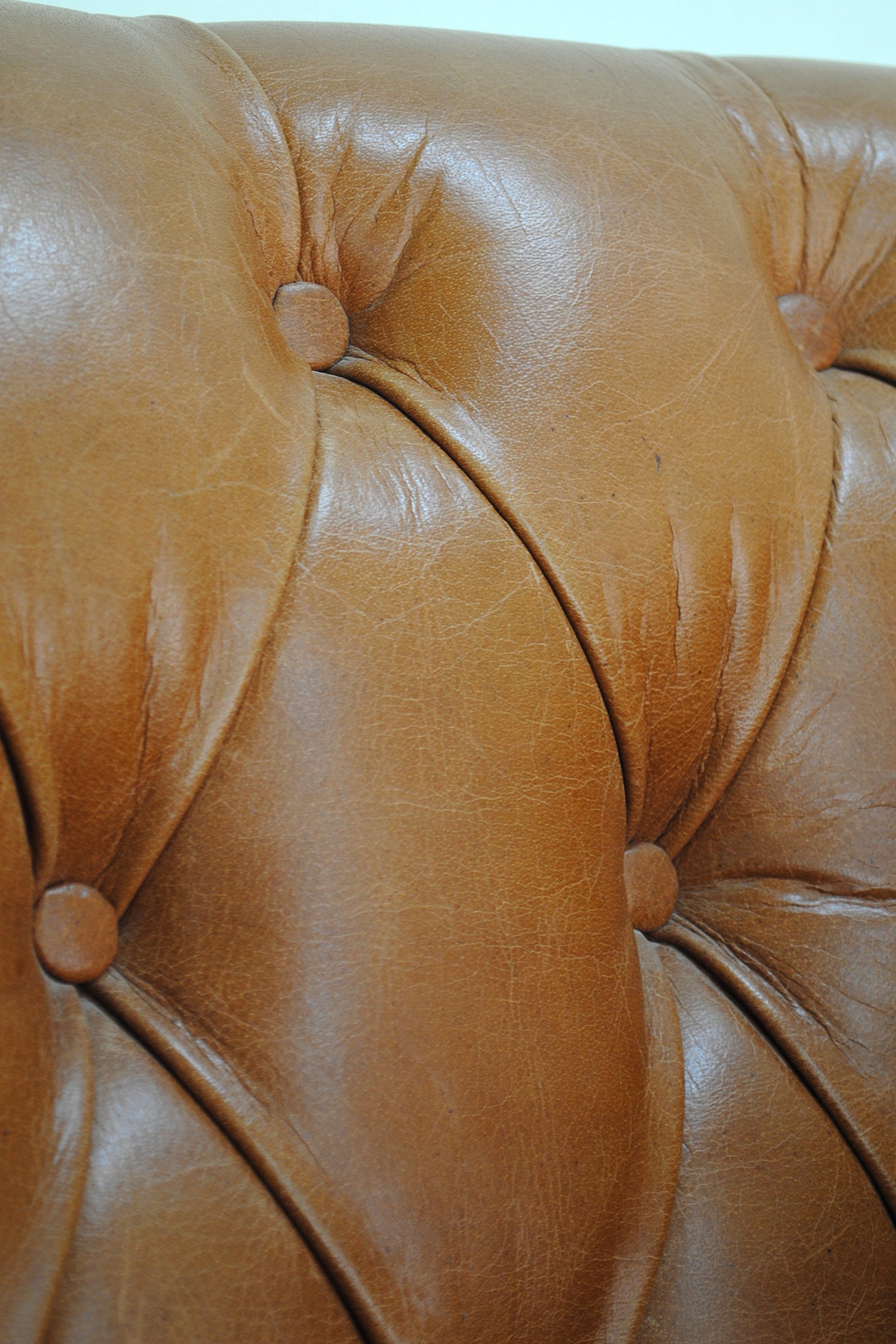Arbor Leather Wing Back Armchair